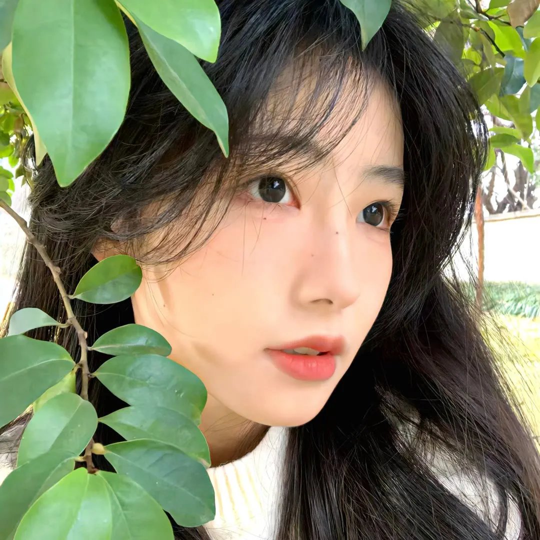 莉莉与凯特