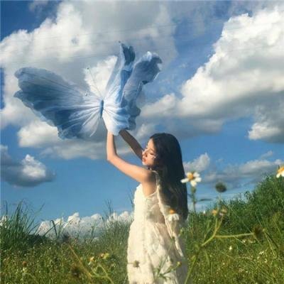 菜菜子解体诊书